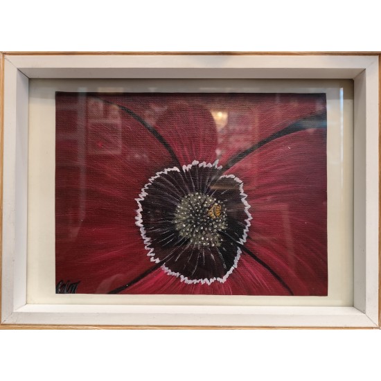 Acrylic Painting – "Poppy in Frame"